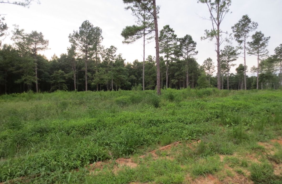 C3987E36-6BA5-4ACD-B2FB-6DDE306D2FB2_1_105_c