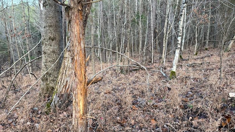 Grayson 48.195 Johnson15