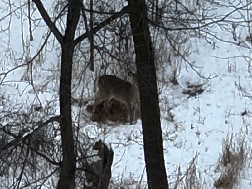 Copy of Tract 5-1(1) Large