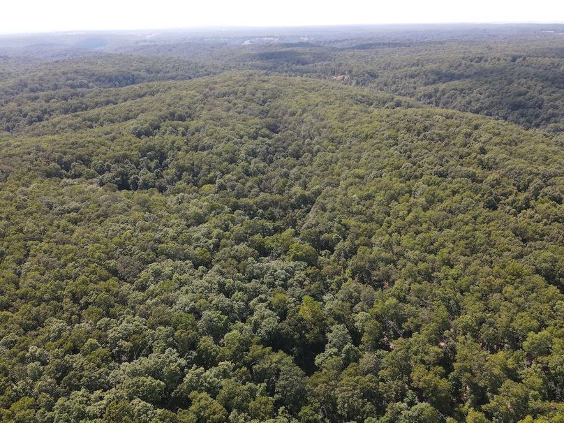 dji_fly_20250818_150856_668_1755547747461_photo