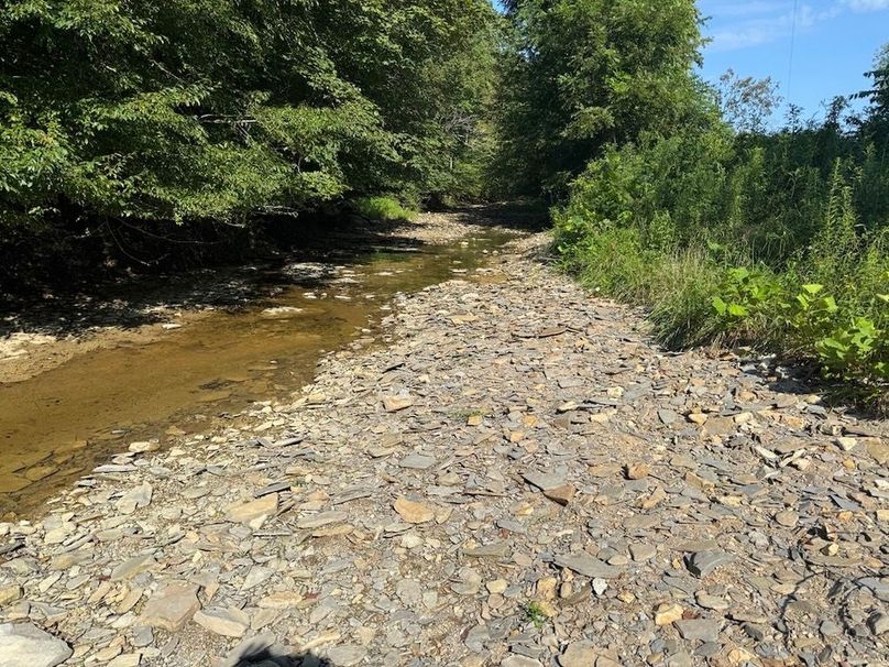 Adair 24.27 Hartsog 8 