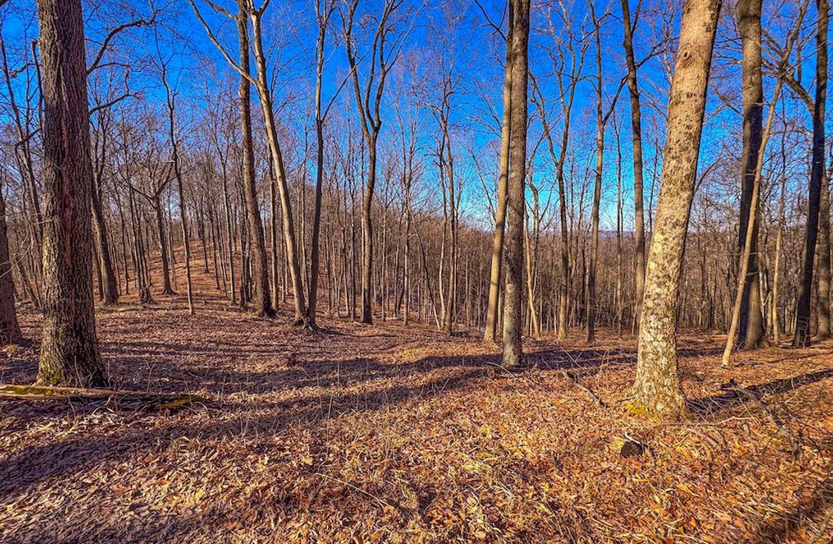 Pleasants, WV 81 AC Barron-03