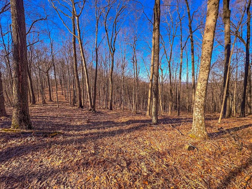 Pleasants, WV 81 AC Barron-03