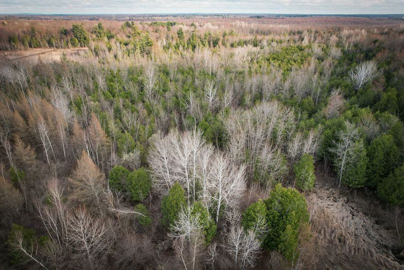 StLawrence_142.7_Bosse_Photos_68