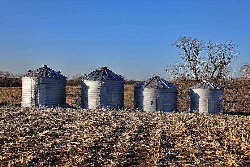 12 Buchanan 252.69 Tract 2