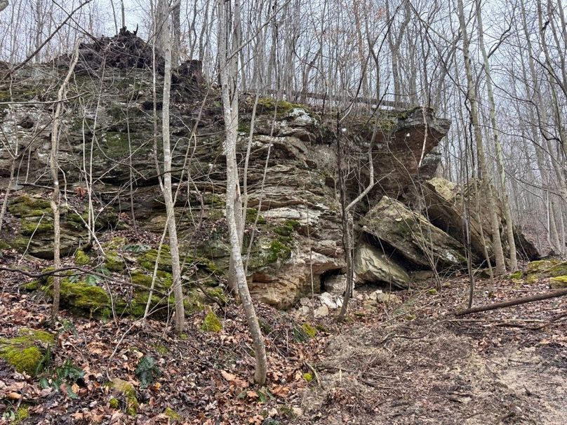 007 midlayer rock feature in the west area of the property