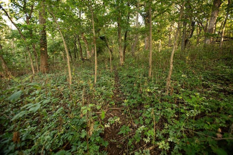 Copy of POTTAWATTAMIE CO IA 311 TRACT 3_20