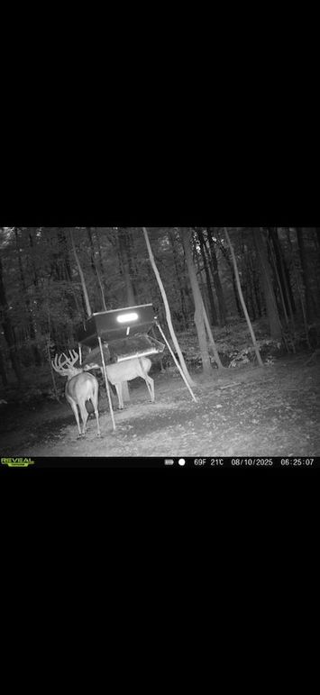 Screenshot 2026-02-09 at 3.13.00 PM