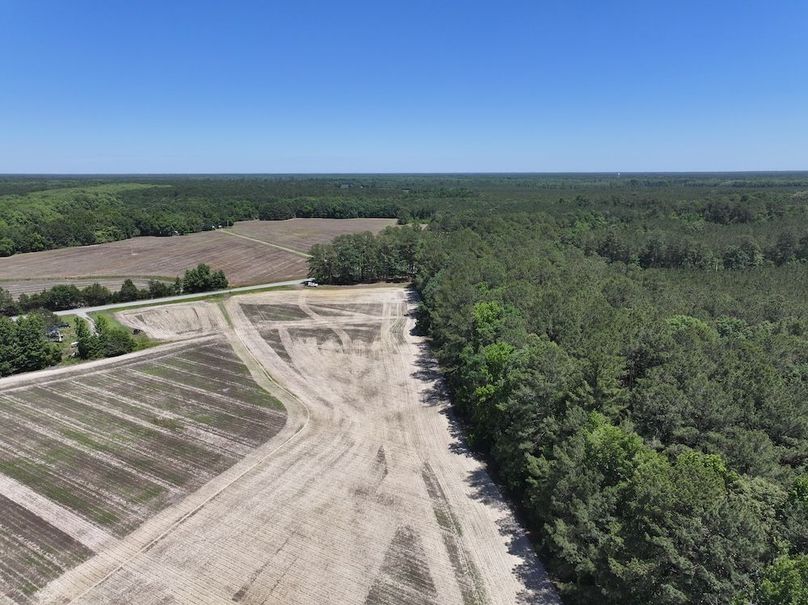 Copy of DJI_20260602142230_0047_D