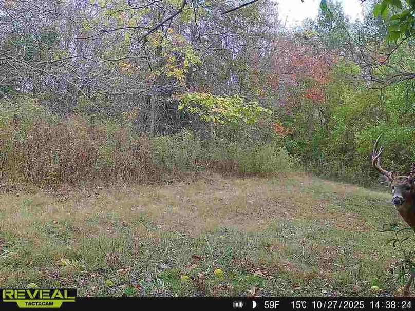 Copy of Trail photos.21