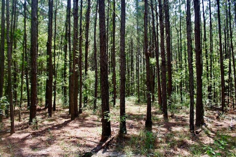 3463CDD4-60F9-4F50-A0C6-8BCC08A0CA5B_1_105_c