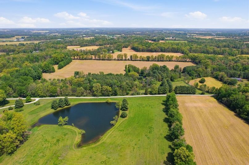 35-web-or-mls-DJI_0777