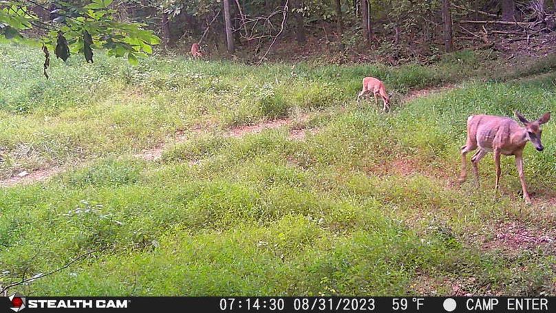 23083107143001000180