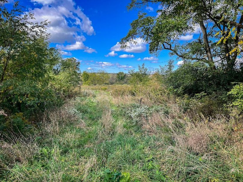 Tompkins_30.32_Hildreth_Estate_Phoros_44