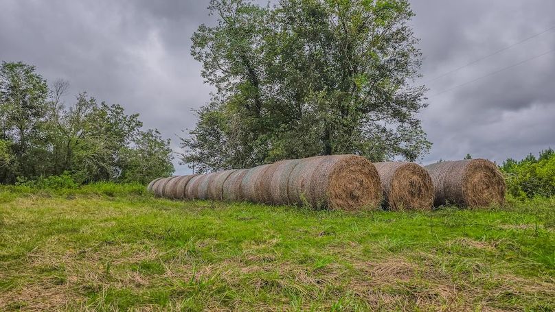 Copy of 20240905_122228