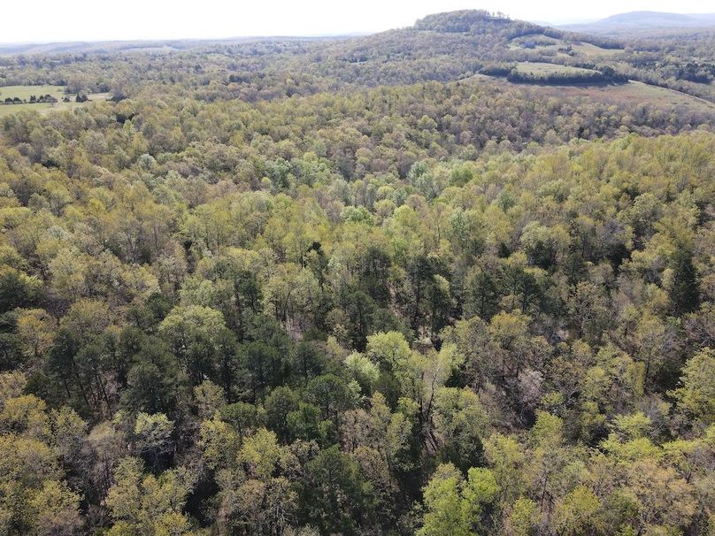 DJI_0302
