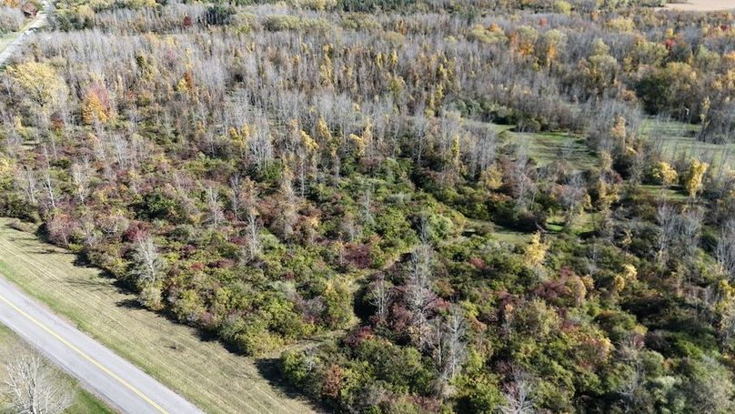 2 DJI_20251017031038_0002_D