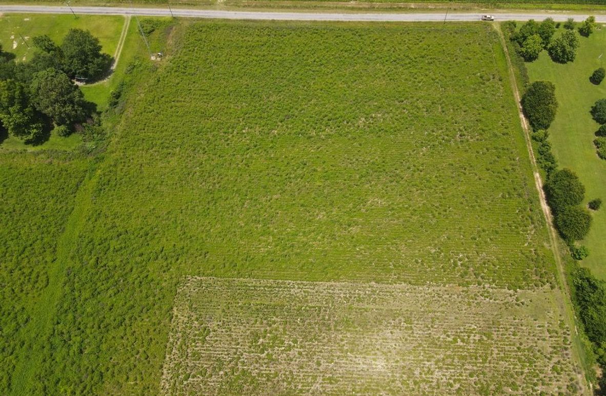 dji_fly_20250611_134024_574_1749667238720_photo 4