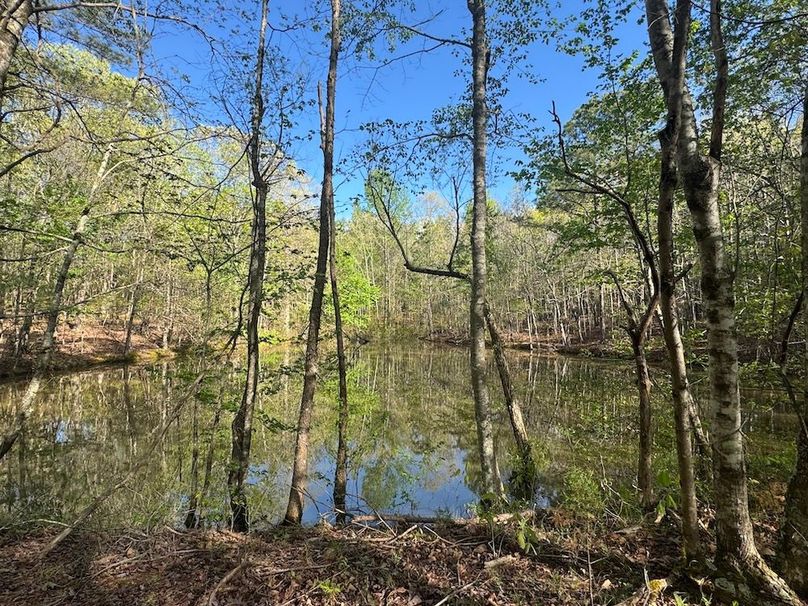 Hidden Pond3