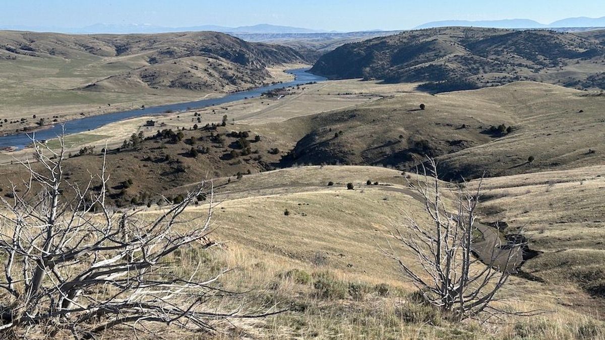 Rare Land Offering Overlooking The Madison River Whitetail