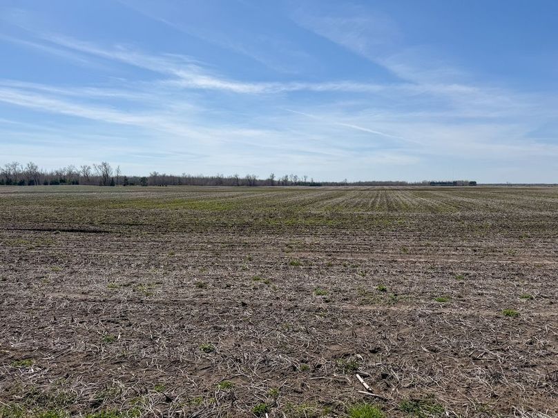 Portage 143 Kaminski -21