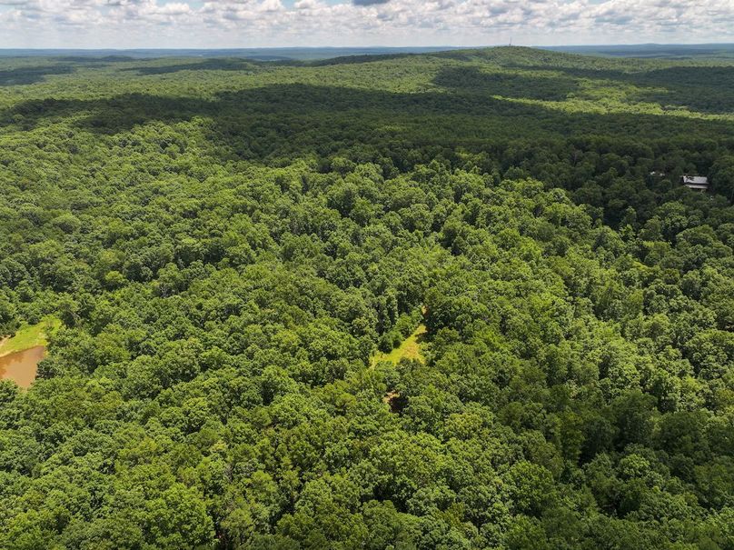 DJI_20250709125945_0421_D