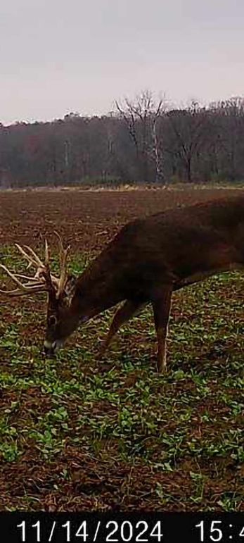 3CA476F1-7F66-4BFB-9886-9722A8148AF2