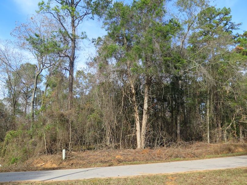 Lauderdale Co - 74 - Gillentine-12