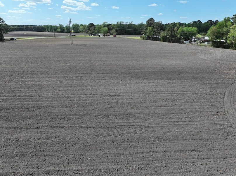 dji_fly_20260315_121412_0550_1775758624547_photo