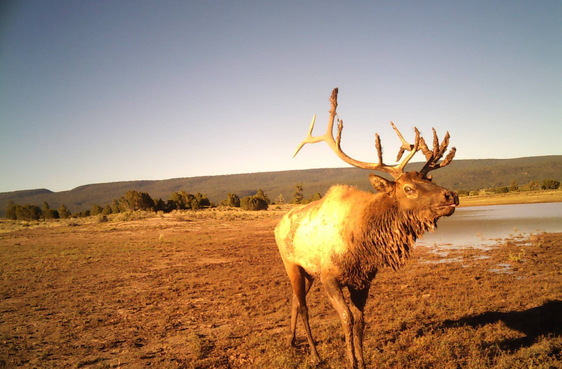 Screen Shot 2022-04-18 at 12.59.46 PM