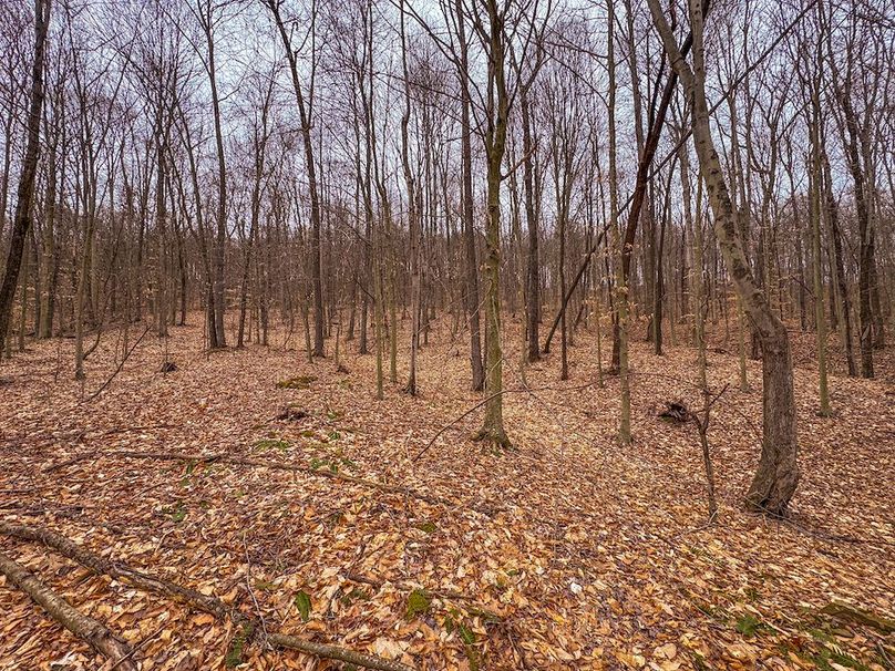 Tyler, WV 90 AC Burkhart-39