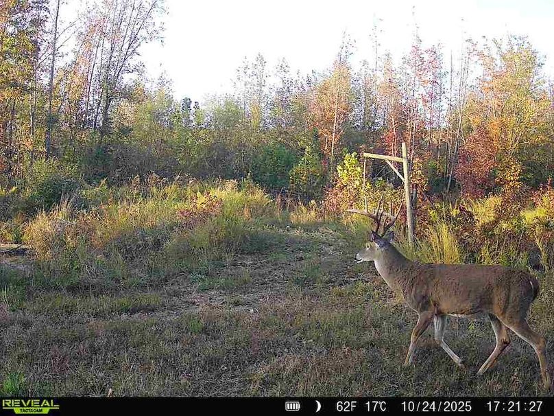 860516067719439-80-4-10242025172128-W1016631