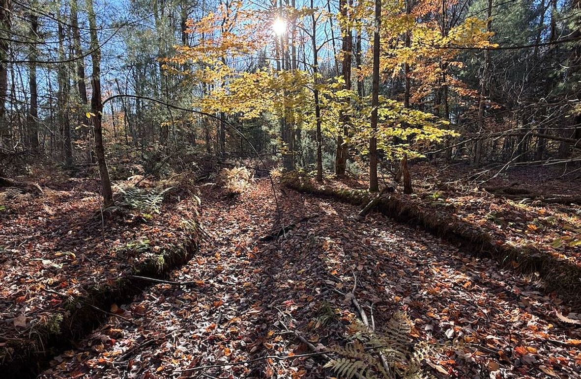 Oswego_26.28_Koehler Photo 3