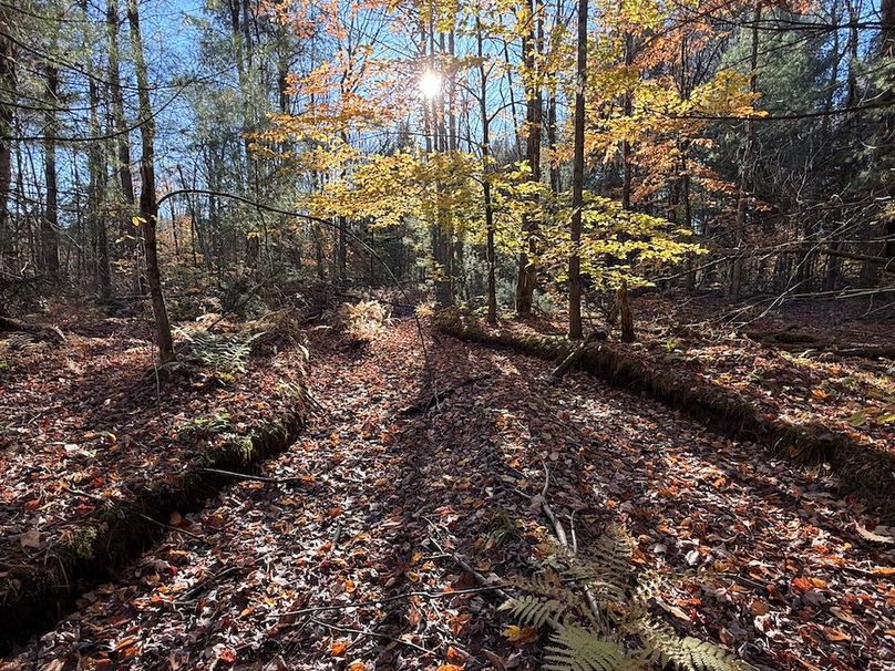 Oswego_26.28_Koehler Photo 3