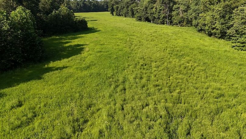 DJI_20250808174736_0735_D