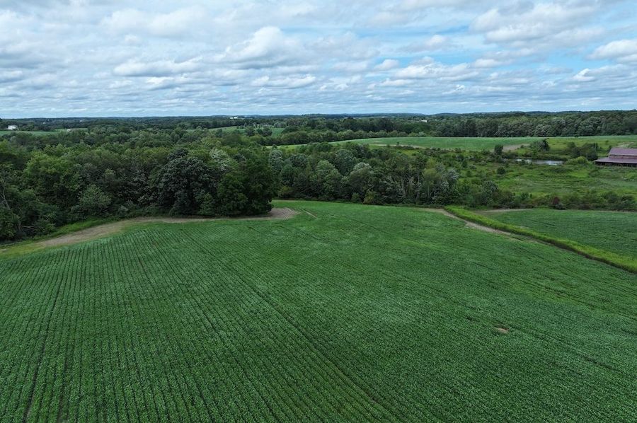 DJI_20240809014625_0106_D