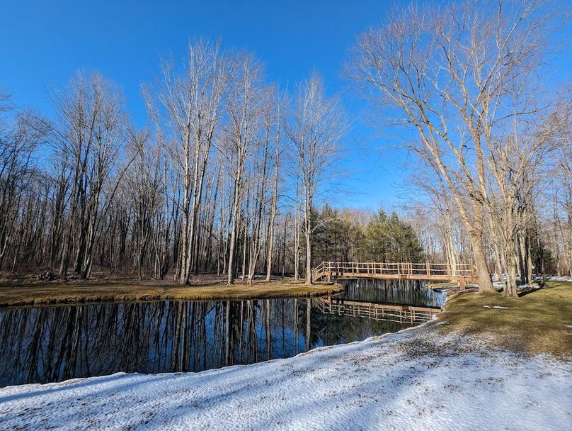 PXL_20240229_210114056