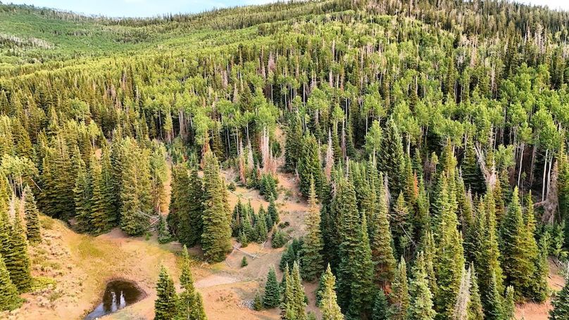 DJI_20250726173647_0133_D