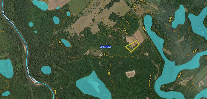 Screen Shot 2023-07-31 at 7.58.53 PM