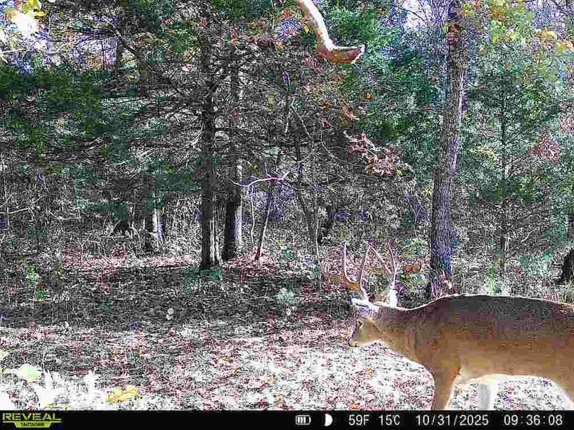 868032069438913-50-3-10312025093608-V-W1000351