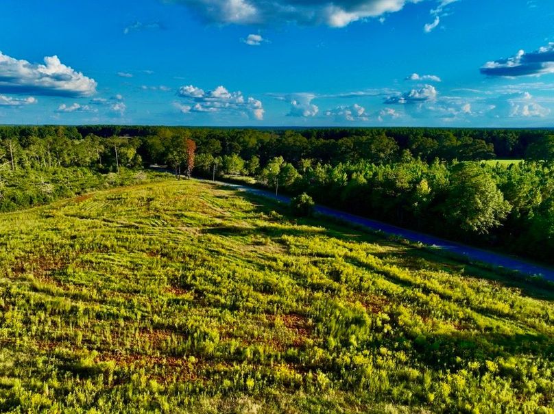 AD1A3CCF-9824-4CD4-A672-7E01C4099738_1_105_c-2