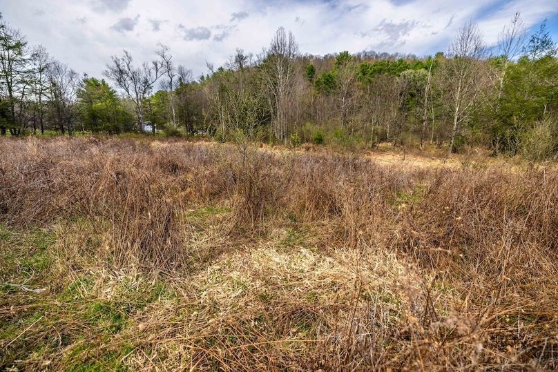 36-web-or-mls-IMG-36