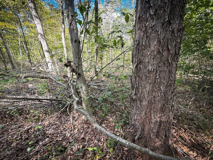 Tompkins_103.12_SusquehannaLandCo_Photos_6