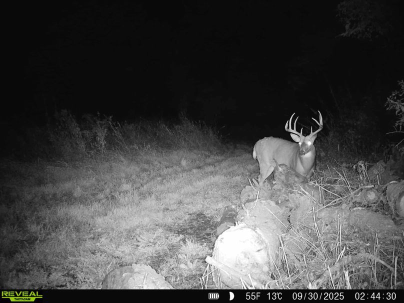 89f930a6-a868-4cea-9b3c-294d02a67545