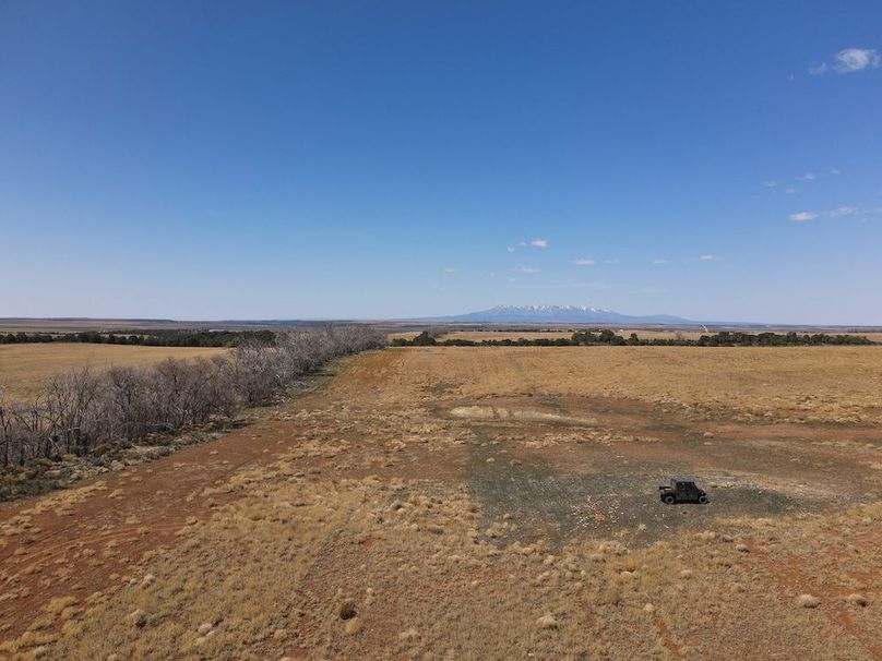 DJI_0973