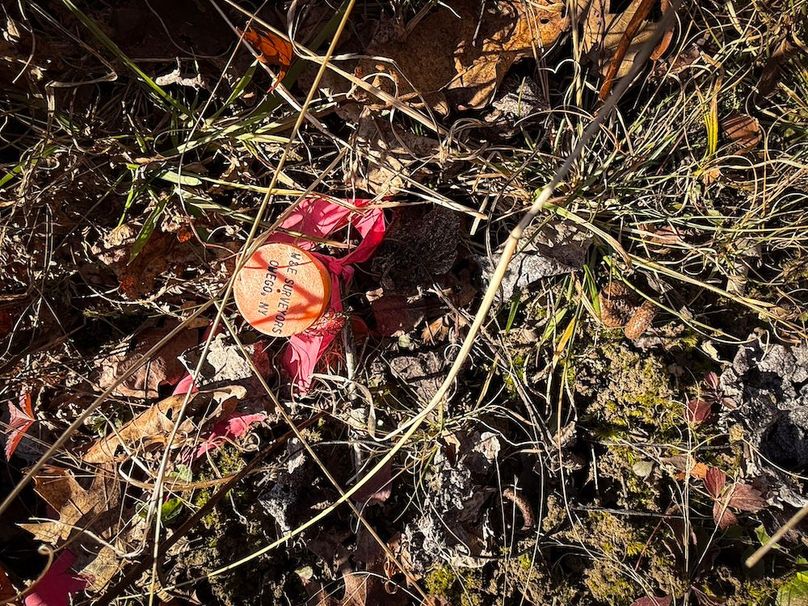 Chemung_31.75_Seymour_North_Photos_10