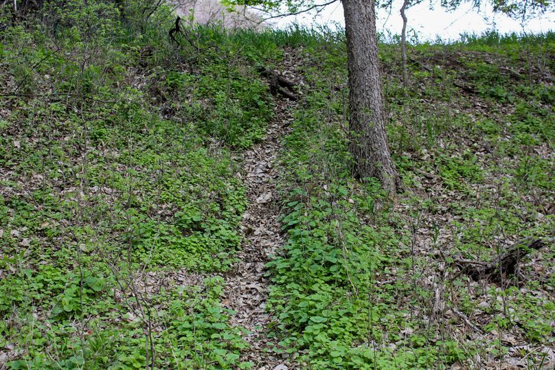 Republic, KS, 155.8_026