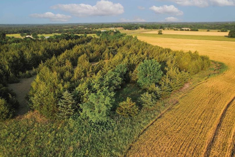 Lamar County- 92.66 Acres (23 of 29)