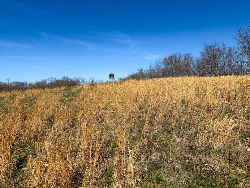 Fleming Petry 120-050