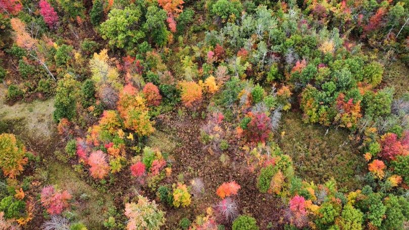 dji_fly_20230927_094146_696_1695826190698_photo_optimized